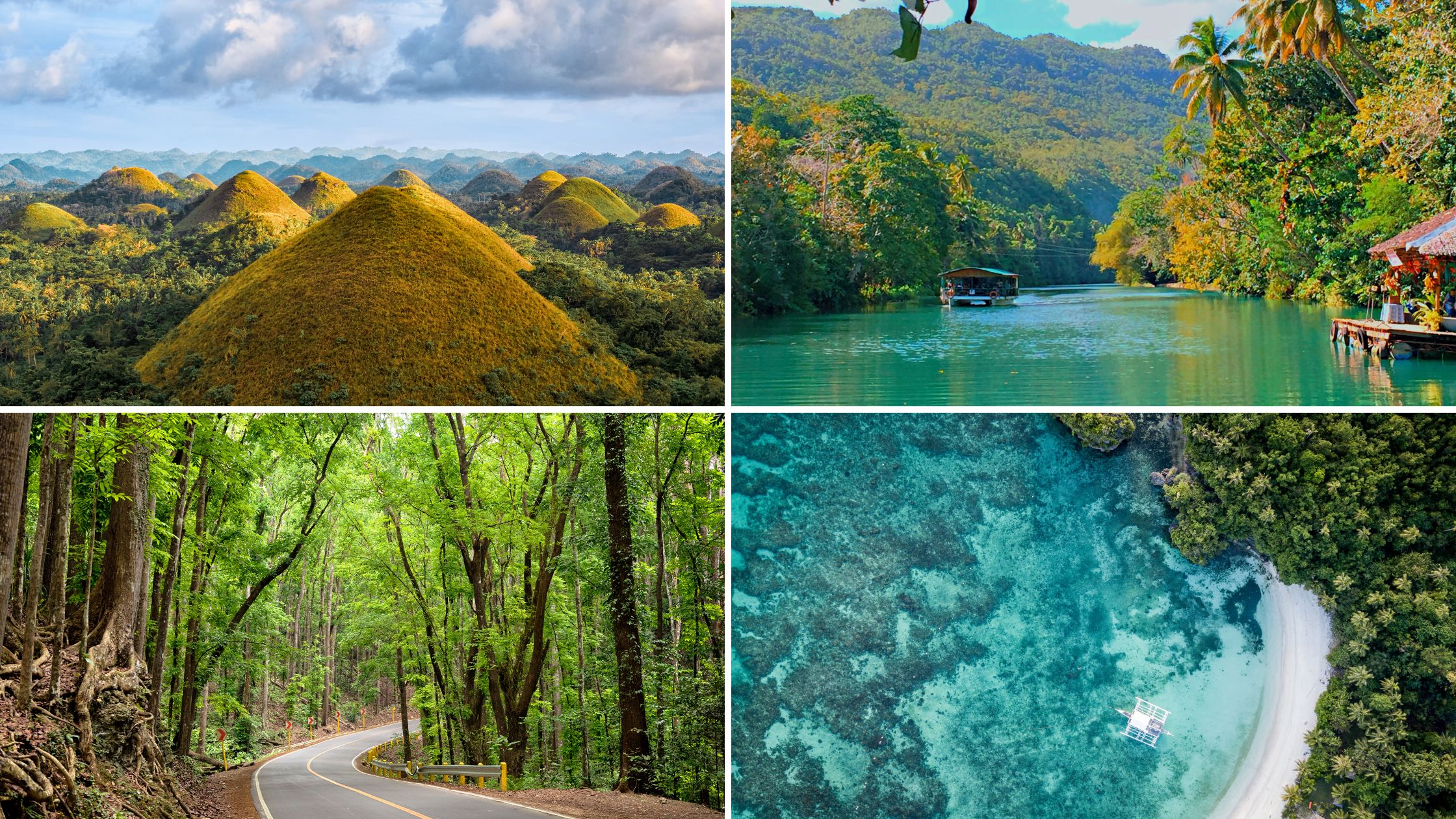 Bohol's Ultimate Adventure: Thrilling Activities to Try in 2024